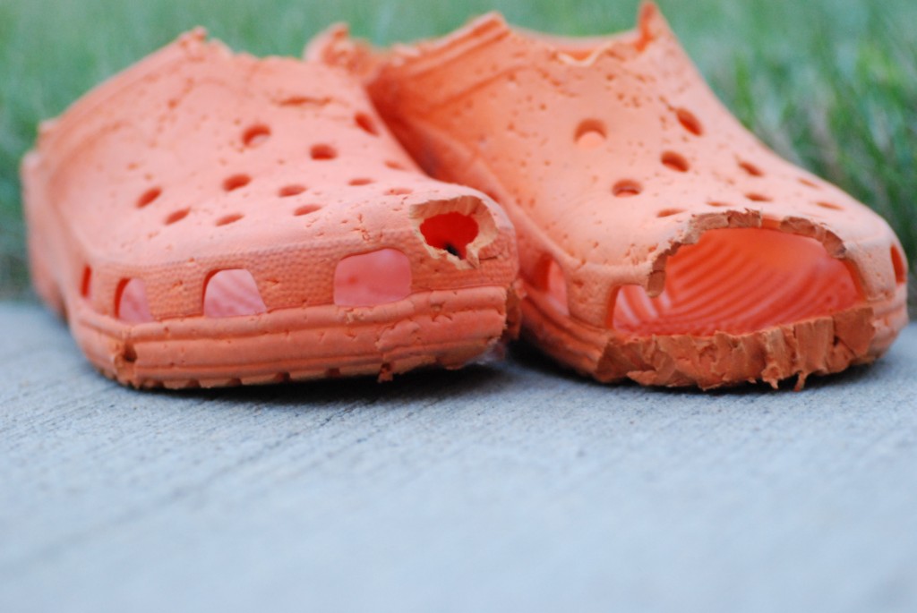 Orange Crocs